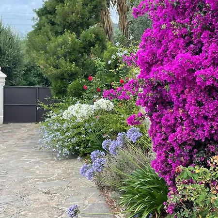 Homestay szállás Les Trefles *